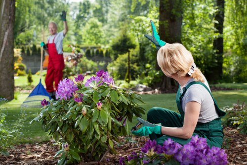 Team carrying out garden maintenance in a Lambeth terraced garden