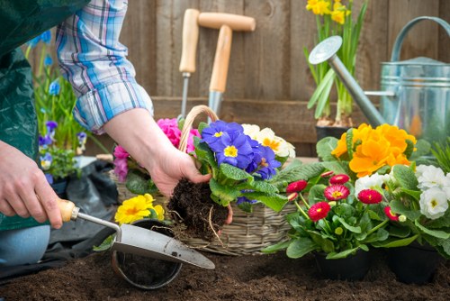 Experienced gardeners pruning hedges in Lambeth