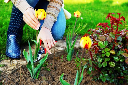 Professional landscapers designing a garden