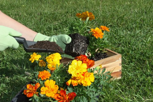 Sustainable garden features in a Lambeth landscape