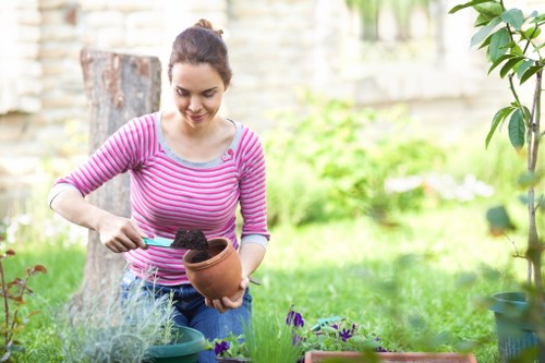 Selection of native plants suited for Lambeth gardens