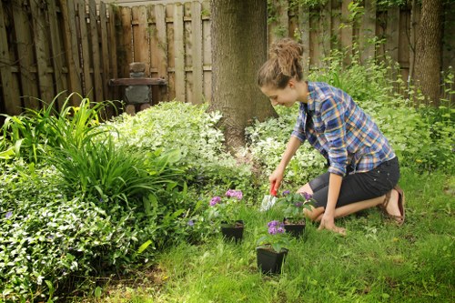 Professional garden maintenance services in Lambeth
