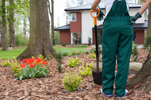 Eco-friendly garden practices in Lambeth
